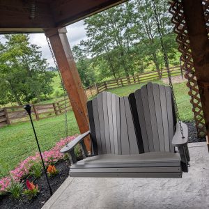 5' Swing With Console