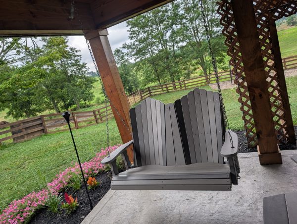 5' Swing With Console