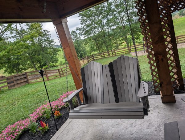 5' Swing With Console